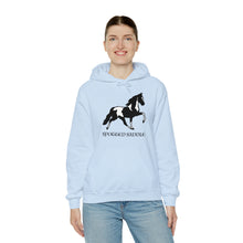 Load image into Gallery viewer, Spotted Saddle Horse Hooded Sweatshirt - Ride the Glide