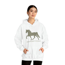 Load image into Gallery viewer, Tennessee Walking Horse Hoodie - Ride the Glide