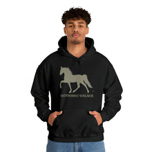 Load image into Gallery viewer, Tennessee Walking Horse Hoodie - Ride the Glide