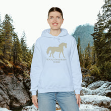 Load image into Gallery viewer, Rocky Mountain Horse Hoodie will make you Rocky Mountain High