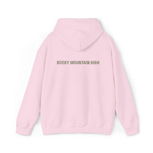 Load image into Gallery viewer, Rocky Mountain Horse Hoodie will make you Rocky Mountain High
