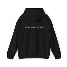 Load image into Gallery viewer, Rocky Mountain Horse Hoodie will make you Rocky Mountain High
